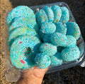 Full Tray
